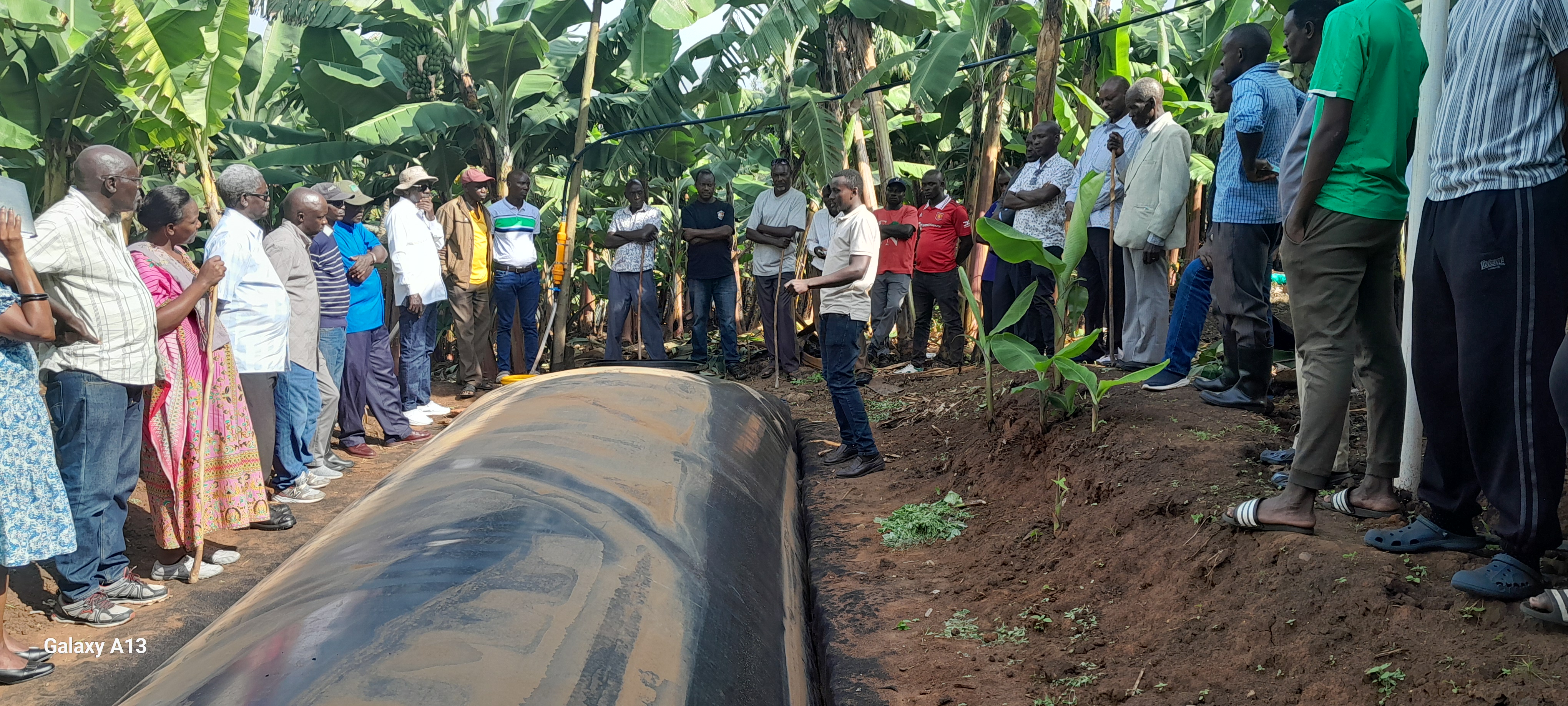 Low-carbon dairy farming